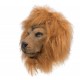 Masque de Lion