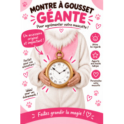 Montre a gousset géante