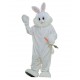 Mascotte Lapin blanc