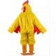 Mascotte de coq